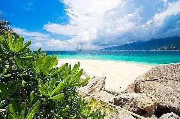 逃出平静乡村