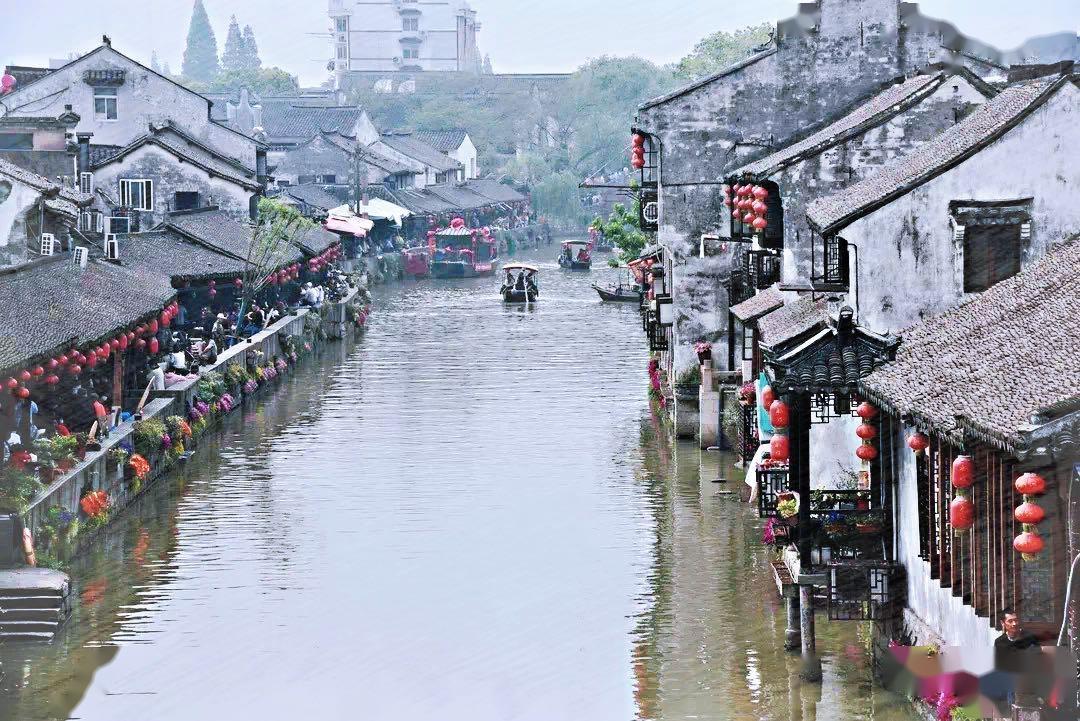 拿破仑：全面战争